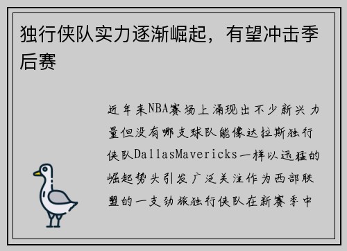独行侠队实力逐渐崛起，有望冲击季后赛