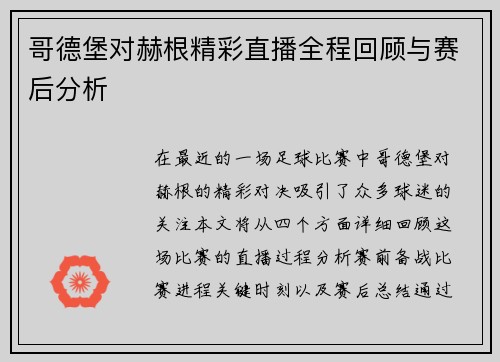 哥德堡对赫根精彩直播全程回顾与赛后分析